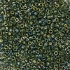 5g Röhrchen Miyuki Delica Beads 11/0, Metallic Green, DB0024