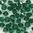 20 Stück Swarovski® Kristalle 5328 Xilion Beads, 6mm Emerald *205
