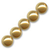 10 Stück Swarovski® Kristalle 5810, Crystal Pearl 8mm, Crystal Bright Gold Pearl *306