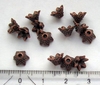 50 Stück Kunststoffkern-Perlen: kleine Kappen - Blumen, kupferfarbig, 8x4mm, Bohrung 1,5mm