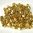 50g Beutel Miyuki Delica Beads 8/0, Bright Gold 24kt, *0031-50