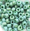 50g Beutel Miyuki Rocailles 6/0, Opaque glazed frosted rainbow turtle green, *4699-50