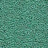 10g Röhrchen Miyuki Rocailles 11/0, Duracoat Galvanized Dark Mint Green, *4214