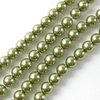 50 Stück Preciosa Round Pearl 4mm, Light Green