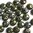 50 Stück Lentil 2-hole Beads 6mm, mit 2 Löchern, Iris Brown