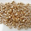 5g Röhrchen Miyuki Delica Beads 11/0, Galvanized Apricot Gold, DB0411