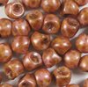 30 Stück Mushroom Buttons Beads ( Pilz Perlen) 6x5mm, Alabaster Red Luster Matted
