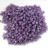 5g Röhrchen Miyuki Delica Beads 11/0, Duracoat Opaque Dyed Medium Purple, DB2360