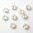 30 Stück Swarovski® Kristalle 53102 Roses Montées 4mm, Crystal Electic White DeLite *001L139D