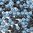 10g Beutel SuperDuo Duets Beads 2,5x5mm, Black/White Blue Luster