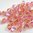 50 Stück Swarovski® Kristalle 5328, Xilion Beads 3mm, Rose Peach Shimmer 2x *262SHIM2