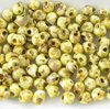 10g Röhrchen Miyuki Drop Beads 3,4mm, Opaque Picasso Yellow, *4512