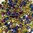 5g Beutel Dragon® Scale Beads 1,5 x 5 mm, Jet California Violet