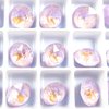 4 Stück Swarovski® Kristalle 1088 XIRIUS Chaton SS39 (8mm),Crystal Lavender DeLite Unf. *001L144D