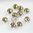 30 Stück Swarovski® Kristalle 53102 Roses Montées 4mm, Crystal Luminous Green *001LUMG