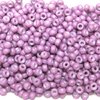 50g Beutel Miyuki Rocailles 11/0, Special Dyed Wine *2047-50