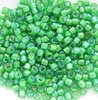 5g Röhrchen Miyuki Delica Beads 11/0, White Lined Green AB, DB1787
