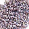 5g Röhrchen Miyuki Delica Beads 11/0, White Lined Dark Smoky Amethyst AB, DB1792